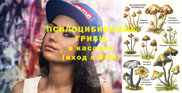 МДМА Алексеевка