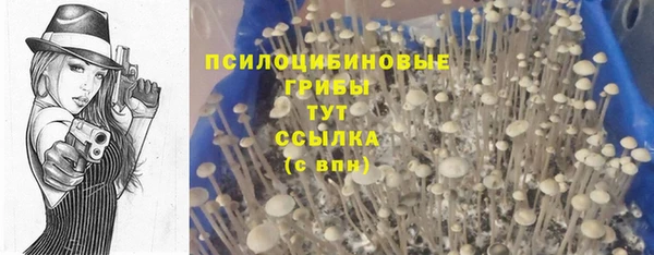 apvp Алексин
