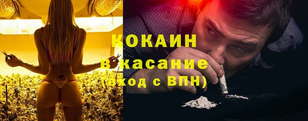 apvp Алексин