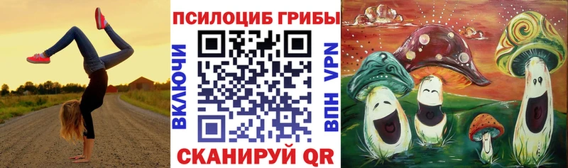 kraken зеркало  Амурск  Псилоцибиновые грибы мицелий  где продают наркотики 