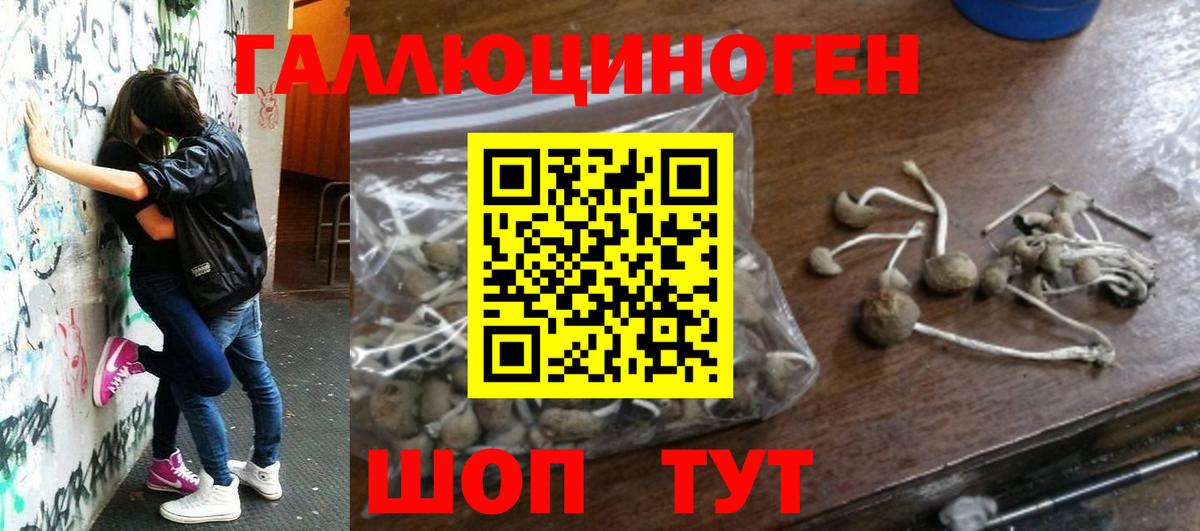 Псилоцибиновые грибы мицелий Амурск
