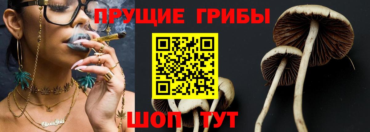 Галлюциногенные грибы Cubensis  где найти   Псилоцибиновые грибы Psilocybine cubensis  Амурск  Вход с VPN 